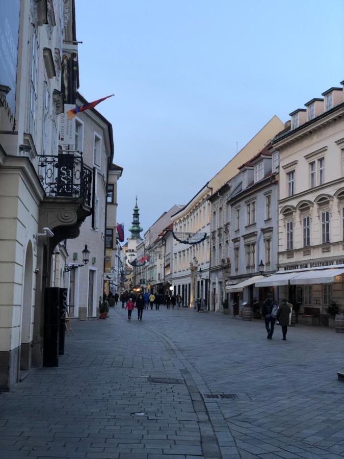 Pleasant Apartment Under The Bratislava Castle Εξωτερικό φωτογραφία